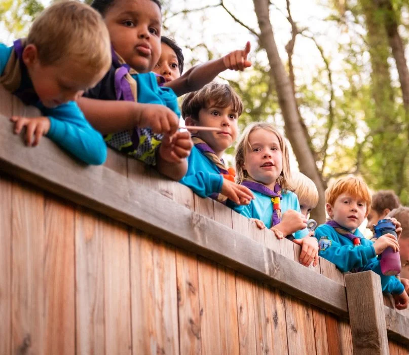 Beaver Scouts in blue jumpers and neckerchiefs lean over the wooden rail of the viewing platform at the Forty Hall beaver enclosure, one pointing into the trees.